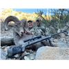 Image 3 : Mexico: 10-Day Desert Bighorn Sheep Hunt (8 hunting days) in Sonora, Mexico for One Hunter.