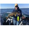 Image 2 : Minnesota: One week lodging and boat rental, 1 Day of Guided Fishing for up to 4 Anglers