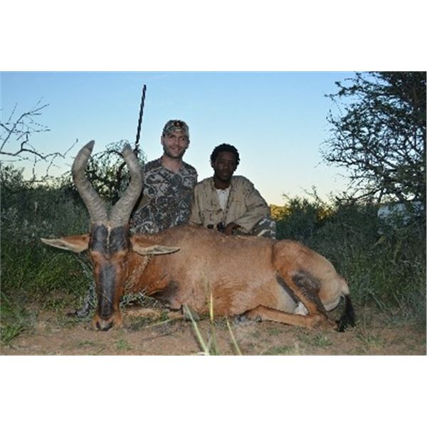 Namibia: 9 Day Plains Game Safari for 2 Hunters & 2 Observes, includes 7 trophies.