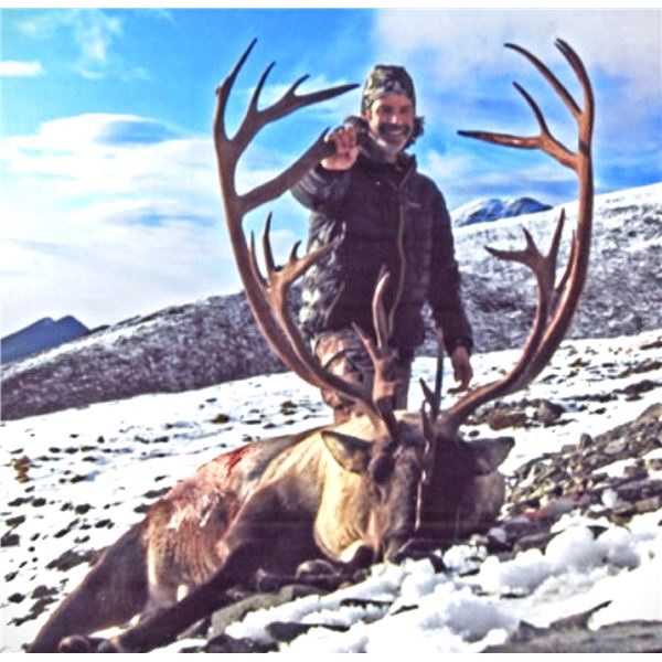 Alaska: SC 608 The Alaska Governors Kenai Peninsula Unit 15b Caribou Permit.