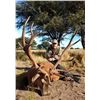 Image 1 : Argentina: 5 Day Big Game Hunt for 1 Hunter, includes 1 Free Range Red Stag