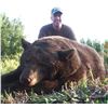 Image 3 : Canada: Alberta 6 Day Black Bear Hunt for 1 Hunter, includes both Black Bear and Wolf!