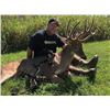 Image 1 : Kentucky: 5 Day Whitetail Deer Archery Hunt for 2 Hunters, includes 1 Buck & 3 Does per Hunter