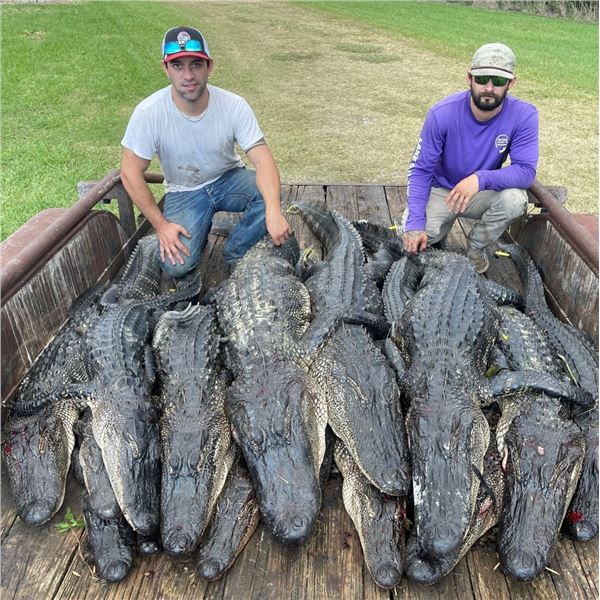 Louisiana: 3 Day,  2 Night Alligator Hunt for 2 Hunters, includes 1 Alligator trophy per hunter.