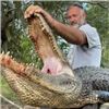 Image 3 : Louisiana: 3 Day,  2 Night Alligator Hunt for 2 Hunters, includes 1 Alligator trophy per hunter.
