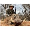 Image 4 : South Africa: 7 Day Safari for 2 Hunters / Includes 1 Cape Buffalo, Zebra, Impala & a Warthog