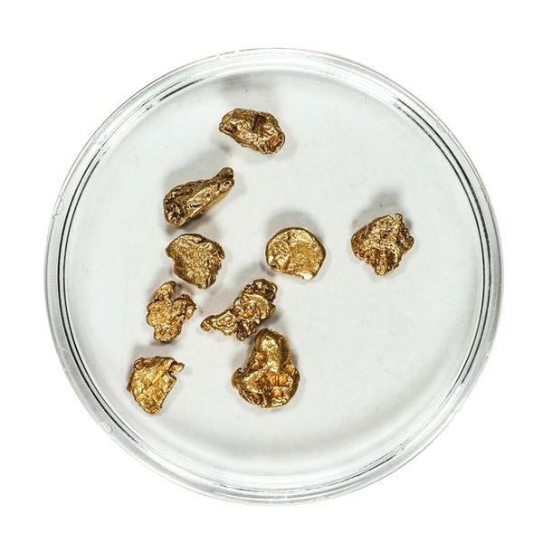 Gold Nuggets 3.15 Grams Total Weight