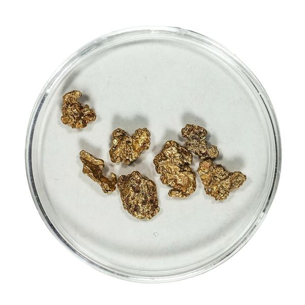 Gold Nuggets 2.95 Grams Total Weight