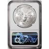 Image 2 : 2021(P) Type 1 $1 American Silver Eagle Coin NGC MS70 First Day Issue Philadelphia