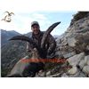 Image 4 : 6 Day BECEITE Ibex Ibex hunt for 2 Hunters with Spain Hunting Ibex – Includes 2 BECEITE Ibex