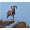 Image 1 : “Bighorn” Original Acrylic Painting on Canvas by Dawie Fourie