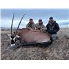 Image 5 : 1 Trophy Cow Oryx & 1 Management Oryx Hunt for 2 Hunters on 362,000 acre Private Ranch with Del Re O