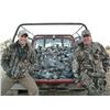 Image 12 : RED STAG, BLACK BUCK ANTELOPE AND DOVE HUNT IN ARGENTINA FOR TWO HUNTERS SIX DAY STAY