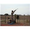 Image 13 : RED STAG, BLACK BUCK ANTELOPE AND DOVE HUNT IN ARGENTINA FOR TWO HUNTERS SIX DAY STAY