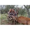 Image 5 : RED STAG, BLACK BUCK ANTELOPE AND DOVE HUNT IN ARGENTINA FOR TWO HUNTERS SIX DAY STAY