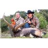 Image 9 : 6 Day BECEITE Ibex Ibex hunt for 2 Hunters with Spain Hunting Ibex – Includes 2 BECEITE Ibex