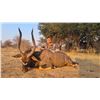 Image 1 : 10 Day All Inclusive South Africa Plains Game Hunt for 1 Hunter
