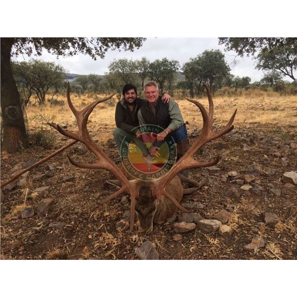 4 Day Amazing Spanish Hunt for 1 Hunter for 1 Iberian Red Deer with Giuseppe Carrizosa - SPAIN