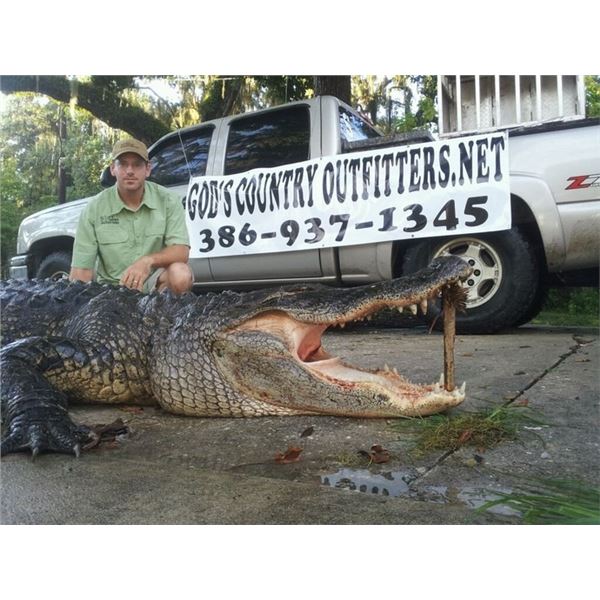 4 Day/3 Nights Fully Guided Alligator & Hog Combo Hunt for 1 Hunter and 1 Non-Hunter with God's Coun