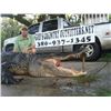 Image 1 : 4 Day/3 Nights Fully Guided Alligator & Hog Combo Hunt for 1 Hunter and 1 Non-Hunter with God's Coun