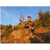 Image 4 : 2x1 Mule Deer Hunt in British Columbia, Canada for 2 Hunters with British Columbia Trophy Mountain O