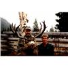 Image 5 : 2x1 Mule Deer Hunt in British Columbia, Canada for 2 Hunters with British Columbia Trophy Mountain O