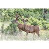 Image 4 : 5 Day Management Mule Deer Management Hunt on Vermejo Park Ranch for 1 hunter