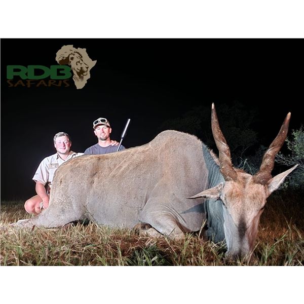 7 Day South African Plains Game Rifle Hunt for 2 Hunters with Rumano De Beer Safaris for Two Half Sl