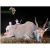Image 1 : 7 Day South African Plains Game Rifle Hunt for 2 Hunters with Rumano De Beer Safaris for Two Half Sl