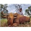Image 2 : 7 Day South African Plains Game Rifle Hunt for 2 Hunters with Rumano De Beer Safaris for Two Half Sl