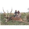 Image 11 : 5 Day/5 Night Hunt for 1 Blackbuck & 1 Patagonia Ram for 2 Hunters in Argentina