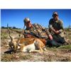Image 3 : 5 Day/5 Night Hunt for 1 Blackbuck & 1 Patagonia Ram for 2 Hunters in Argentina
