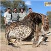 Image 1 : 10 Day/9 Night Plains Game Giraffe Hunt in the Limpopo Province South Africa for 2 Hunters