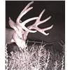 Image 18 : 5 Day/5 Night New Mexico Hunt for 1 Trophy Rut Mule Deer & 1 Trophy Bull Elk for 1 Hunter & 1 Guest
