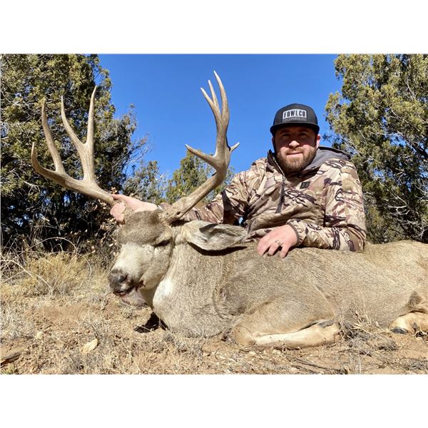 5 Day/5 Night New Mexico Hunt for 1 Trophy Rut Mule Deer & 1 Trophy Bull Elk for 1 Hunter & 1 Guest
