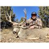 Image 1 : 5 Day/5 Night New Mexico Hunt for 1 Trophy Rut Mule Deer & 1 Trophy Bull Elk for 1 Hunter & 1 Guest