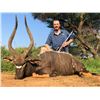 Image 1 : 10 Day/9 Night Plains Game Hunt in the Limpopo Province South Africa for 2 Hunters for a Nyala with