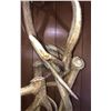 Image 3 : Elk Antler Floor Lamp Rustic Furniture Décor