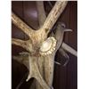 Image 6 : Elk Antler Floor Lamp Rustic Furniture Décor