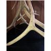 Image 8 : Elk Antler Floor Lamp Rustic Furniture Décor