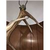 Image 9 : Elk Antler Floor Lamp Rustic Furniture Décor