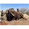 Image 12 : 6 Day South Africa Plains Game Hunt for 2 Youth Hunters (18 & under) & 2 Non-Hunters