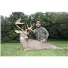 Image 3 : Five Star Ohio Whitetail Hunt for 2 Hunters for 3 days and 4 Nights