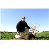 Image 4 : Five Star Ohio Whitetail Hunt for 2 Hunters for 3 days and 4 Nights