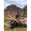 Image 11 : Fully Guided New Mexico Mature Bull Elk Hunt in Game Unit 6A