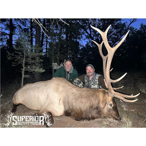 Fully Guided New Mexico Mature Bull Elk Hunt in Game Unit 6A