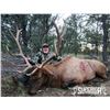 Image 2 : Fully Guided New Mexico Mature Bull Elk Hunt in Game Unit 6A