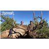 Image 5 : Fully Guided New Mexico Mature Bull Elk Hunt in Game Unit 6A