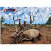 Image 7 : Fully Guided New Mexico Mature Bull Elk Hunt in Game Unit 6A