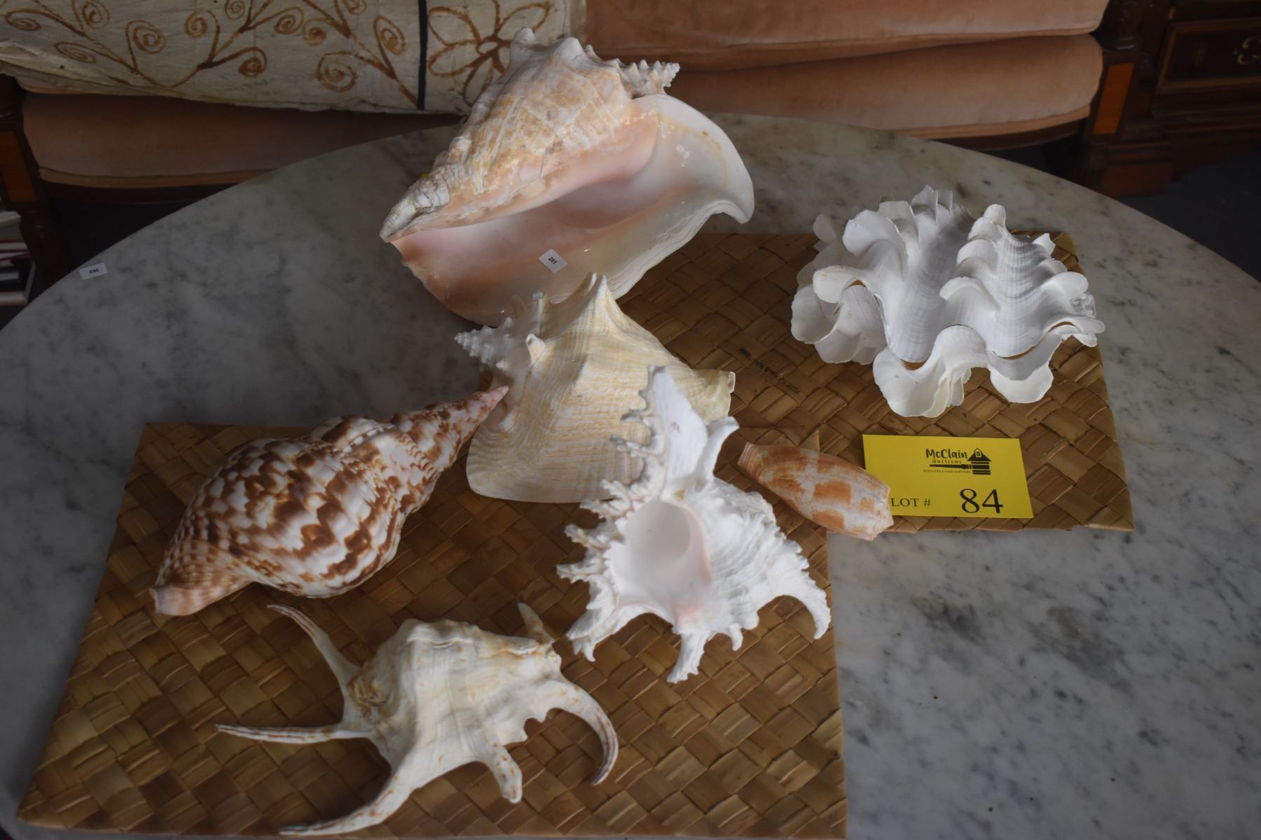 Dimensions Shell Collection 2280 SHELL COLLECTION (7 PCS)